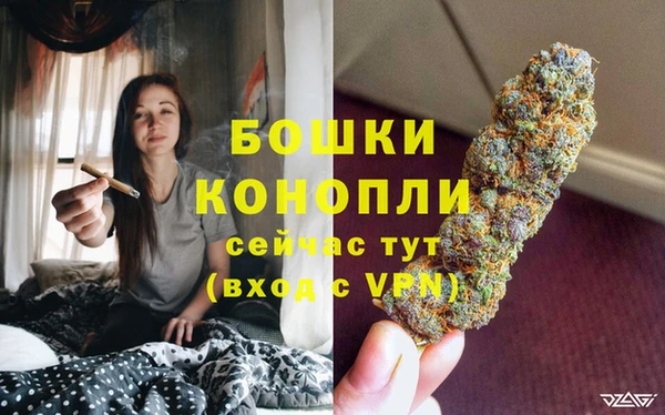 мдпв Володарск