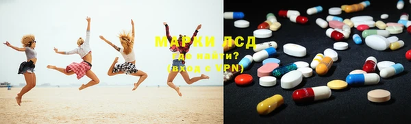прущие грибы Волоколамск