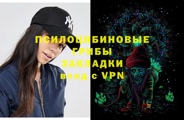 мдпв Володарск