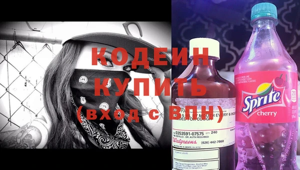 прущие грибы Волоколамск