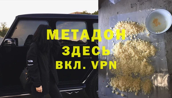прущие грибы Волоколамск