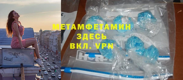 прущие грибы Волоколамск