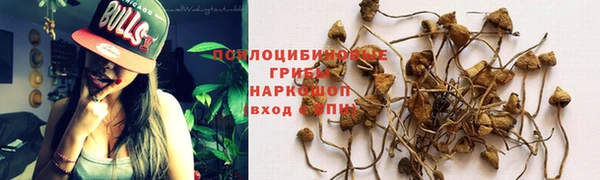 мдпв Володарск