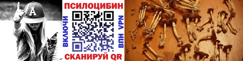 Галлюциногенные грибы Psilocybe  Купить где  Куйбышев 